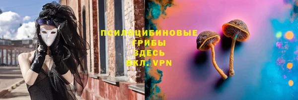 хмурый Алексин