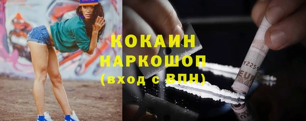 хмурый Алексин