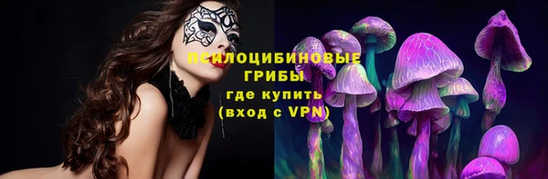 ешки Алзамай