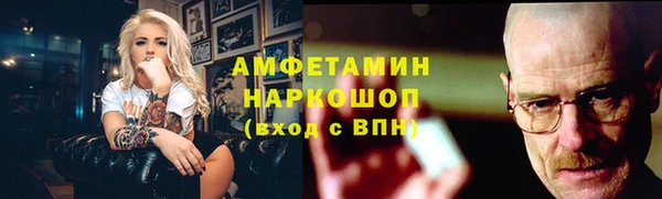 хмурый Алексин