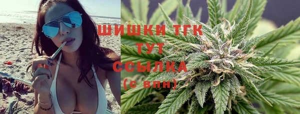 ешки Алзамай