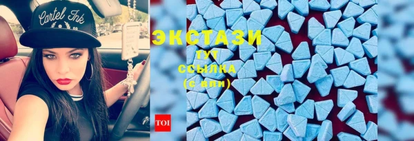 хмурый Алексин