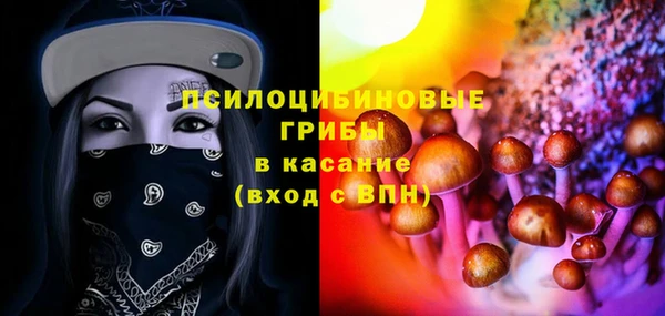 ешки Алзамай