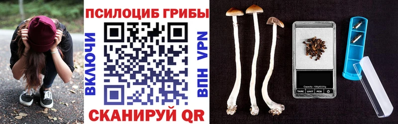 Галлюциногенные грибы ЛСД  Далматово 